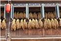 china_3899