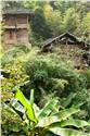 china_4515