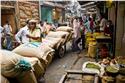 india_02493