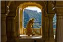 india_02833