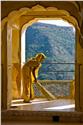 india_02839