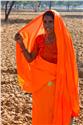 india_03158