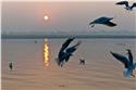 india_10011