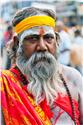 india_10155