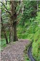 madeira_9671