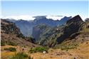 madeira_9680