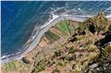 madeira_9874