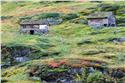 norway_4619