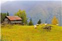 norway_4856