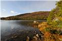 norway_4877