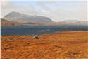 norway_4889