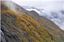 norway_8198