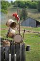 romania-2010_9128