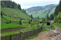 romania-2010_9335