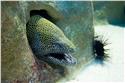 africa_0060