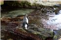 africa_0065