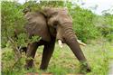 africa_0076