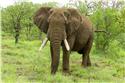 africa_0083