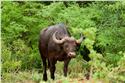 africa_0140
