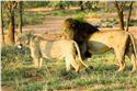 africa_0153