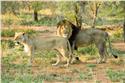africa_0157