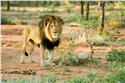 africa_0166