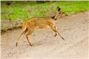 africa_0167