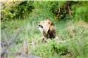 africa_0176