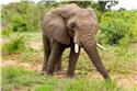 africa_0212
