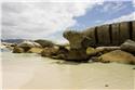 africa_0253