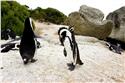 africa_0260