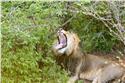 africa_0273