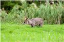 africa_0411