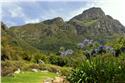 africa_0547