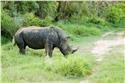 africa_0953