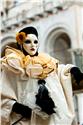 venice_12374