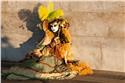 venice_12644
