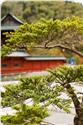 japan_0026