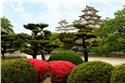 japan_0038