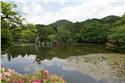 japan_0046