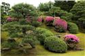 japan_0146