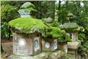 japan_0244