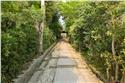 japan_0370