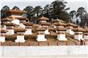 bhutan_3498