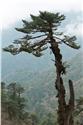 bhutan_7677
