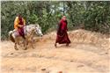 bhutan_9316