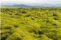 iceland_00218