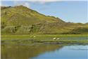 iceland_00307