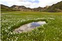 iceland_00353