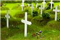 iceland_00687